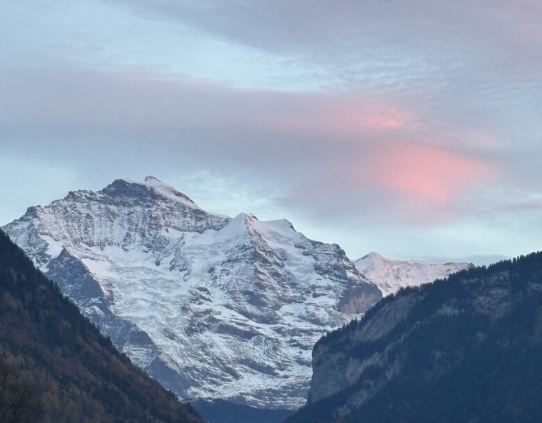 purpur edition jungfrau