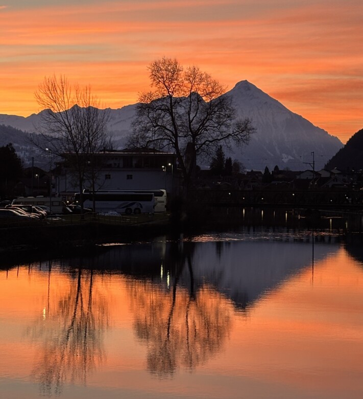 purpur edition levelup